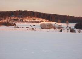 Wooden House With Sauna in Kustelberg