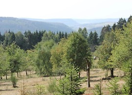 Pretty Holiday Home in Suhl Right Next to the Forest