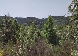 Pretty Holiday Home in Suhl Right Next to the Forest