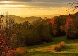 Apartment in the Bavarian Forest