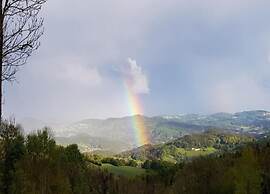 Wohnung in Zenting mit Garten