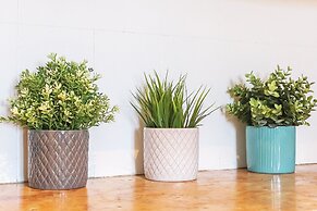 Estrela Panoramic View by Homing