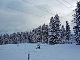 Cosy Holiday Home Near the ski Lift