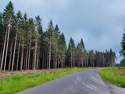 Apartment With Terrace and Garden
