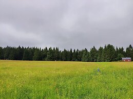 Apartment With Terrace and Garden