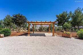 2003 Villetta Dolores