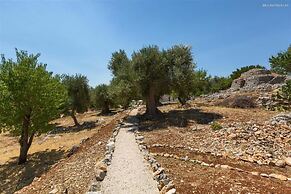 661 Villa con Piscina e Vista Panoramica a Ostuni