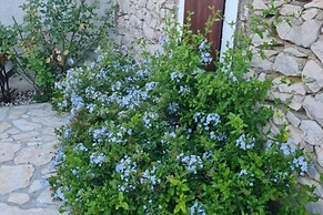 Home With Swimming Pool & Outdoor Kitchen