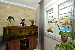 Home With Swimming Pool & Outdoor Kitchen