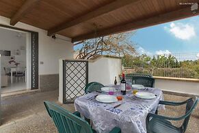 2339 Trilo Imma by Barbarhouse