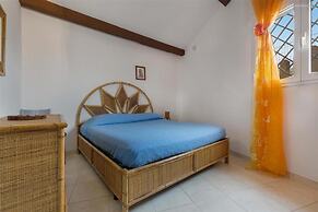 2339 Trilo Imma by Barbarhouse