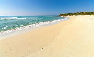 995 Trilo Corallo in Porto Cesareo