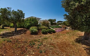 1724 Villa Zena in Carovigno