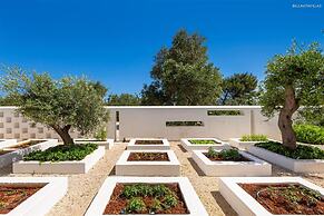 1978 Borgo Maresca by Perle di Puglia