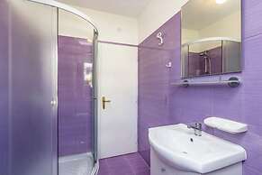 Air Conditioned Apartment in Medulin