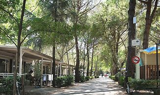 Simplistic Mobile Home in Castiglione del Lago Near Lake