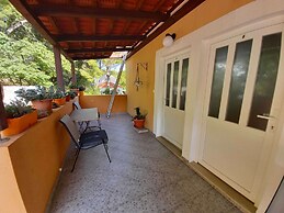 Apartments Vinko Mljet- One-bedroom Apartment With Terrace