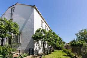 Apartment Blue & Green - Two-bedroom Apartment With Terrace and Garden