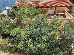 Apartments Vinko Mljet- One-bedroom Apartment With Terrace