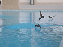 Amazing Villa With Pool