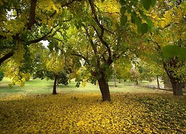 Pleasant Mobile Home in Castiglione del Lago With Pool