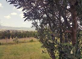 Pleasant Mobile Home in Castiglione del Lago With Pool