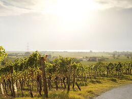 Apartment With Pool, Roof Terrace, Garden