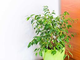 Apartments Lion - One Bedroom Apartment