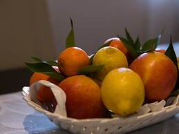 Apartment Cetinic - Two Bedroom Apartment With Terrace and Sea View