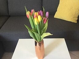 Apartments Roko - Economy One Bedroom Apartment With Shared Terrace