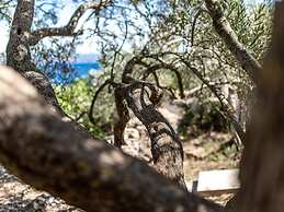 Olive's Garden House - Three Bedroom Holiday Home With Terrace and Sea