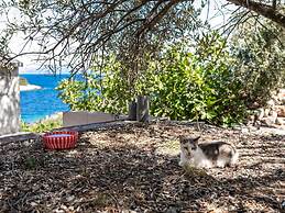 Olive's Garden House - Three Bedroom Holiday Home With Terrace and Sea