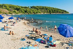 Apartments Radojkovic Lumbarda - Comfort Two Bedroom Apartment With Te