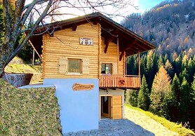 Traditional Chalet With Garden