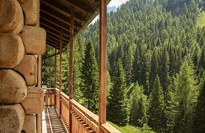 Traditional Chalet With Garden