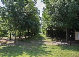 Venetian Villa With Pool and Sauna