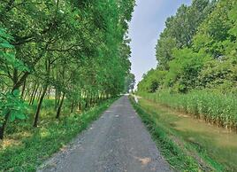 Venetian Villa With Pool and Sauna