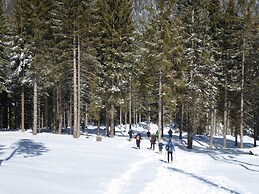 Large Apartment With Terraces in Val di Fiemme