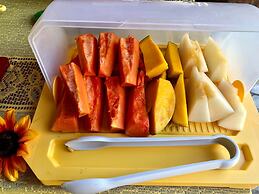 Pousada das Oliveiras