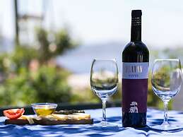 Apartments Olive - Comfort One Bedroom Apartment With Terrace and Sea 