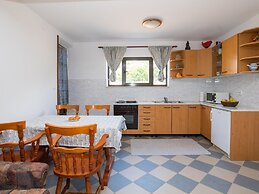 Apartments Vidak - One Bedroom Apartment With Terrace and Pool View -