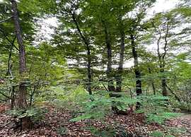 Asolo Retreat With Garden
