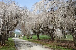 Briar Patch Bed & Breakfast Inn
