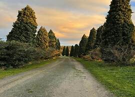 Elegant Escape in Tuscan