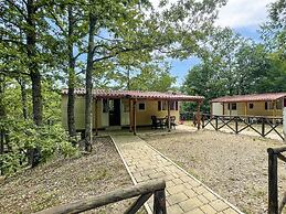 Cosy Mobile Home in Toscana With Shared Pool
