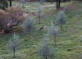 Apartment in the Village With air Conditioning