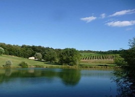 Apartment With Shared Rooftop Pool