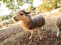 Belvilla by OYO Alpaca