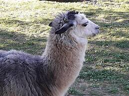 Belvilla by OYO Alpaca