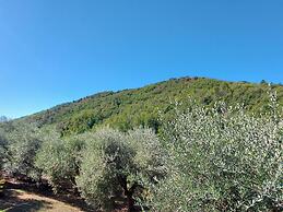 A Cozy Stay in Fiano Pescaglia